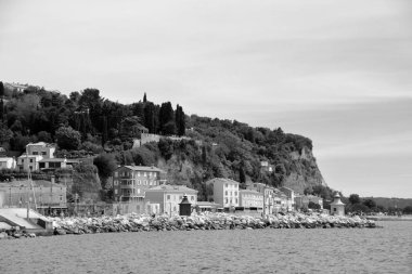 siyah ve beyaz deniz manzarası ve Mykonos dağı