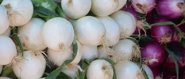 Verduras Frescas Mercado —  Fotos de Stock