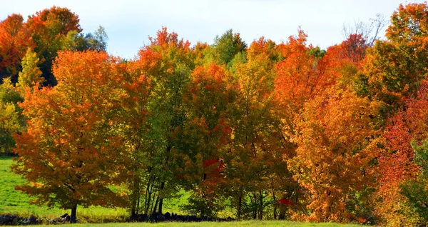 Hermoso Paisaje Montaña Otoño Con Árboles Coloridos —  Fotos de Stock