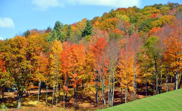 Hermoso Paisaje Montaña Otoño Con Árboles Coloridos —  Fotos de Stock