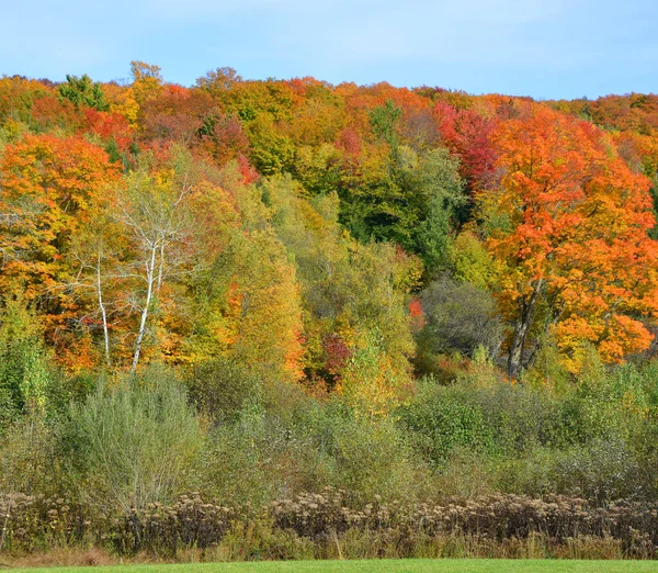 美しい秋の山の風景 — ストック写真