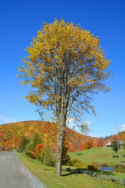 Farm and mountain landscape at autumn season