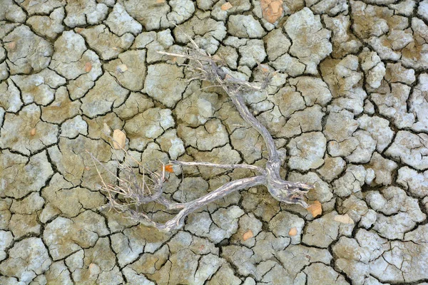 Lervulkaner Gobustan Nära Baku Azerbajdzjan Lervulkan Eller Lerkupol Landform Som — Stockfoto