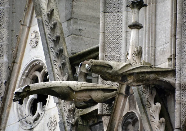 Vista Catedral Notre Dame París Atardecer Una Catedral Gótica Católica — Foto de Stock