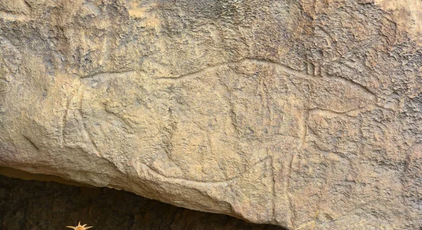 Prawdziwe Petroglify Parku Narodowym Gobustan Azerbejdżan — Zdjęcie stockowe