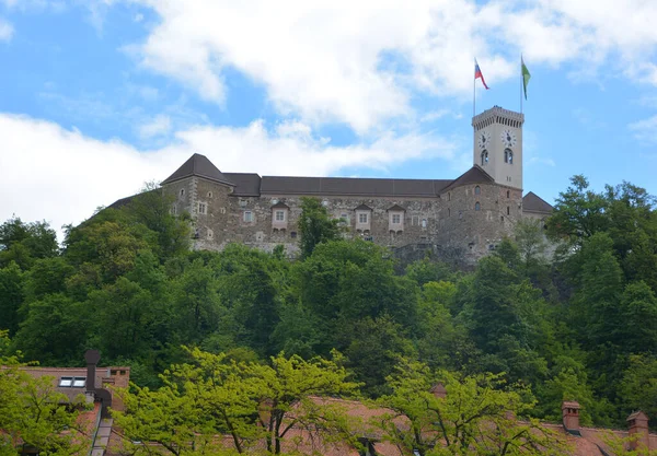 Vieux Château Dans Les Montagnes — Photo