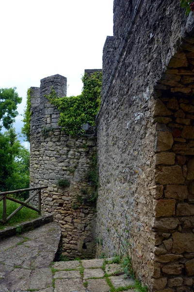 Vieux Château Ville Carcassonne — Photo