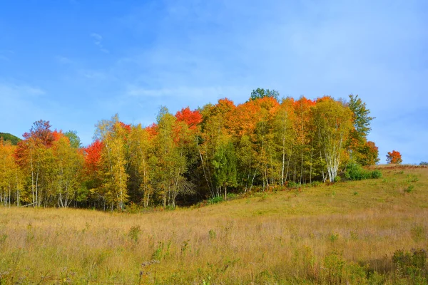 Prachtig Berglandschap Herfst Met Kleurrijke Bomen — Stockfoto