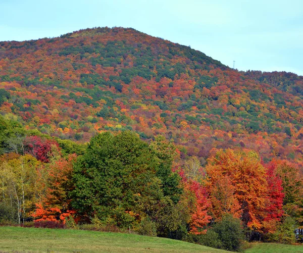 Prachtig Berglandschap Herfst Met Kleurrijke Bomen — Stockfoto