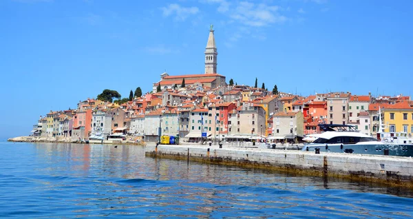 Ciudad Medieval Rovinj Catedral Santa Euphemia Península Istria Croacia — Foto de Stock