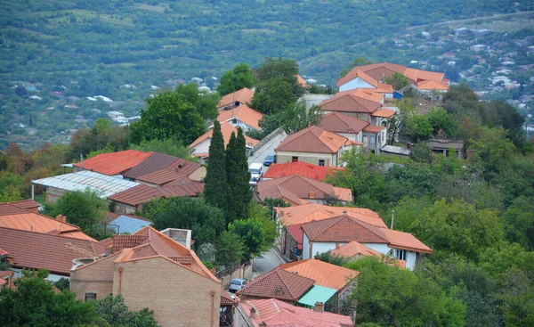Sighnaghi Georgia 鸟瞰Signagi或Sighnaghi是格鲁吉亚最东部地区Kakheti的一个城镇 也是Signagi市的行政中心 — 图库照片