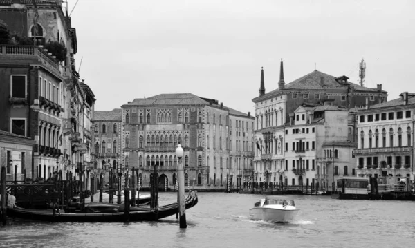 Venedig Juni Der Canal Grande Juni 2011 Venedig Italien Venedig — Stockfoto