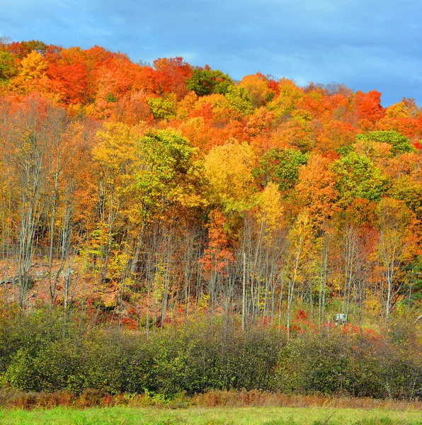 Hermoso Paisaje Montaña Otoño Con Árboles Coloridos — Foto de Stock