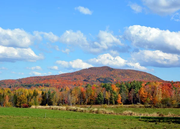 Prachtig Berglandschap Herfst Met Kleurrijke Bomen — Stockfoto