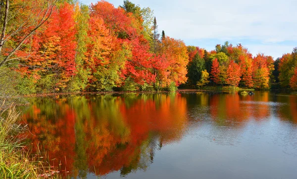 Prachtig Herfstlandschap Met Meer Kleurrijke Bomen — Stockfoto