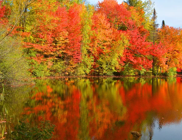 Beau Paysage Automne Avec Lac Arbres Colorés — Photo