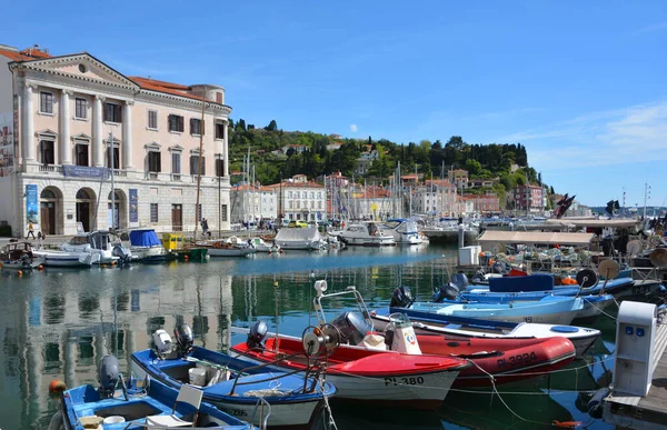 Boats Port Genoa Summer — Stock Photo, Image