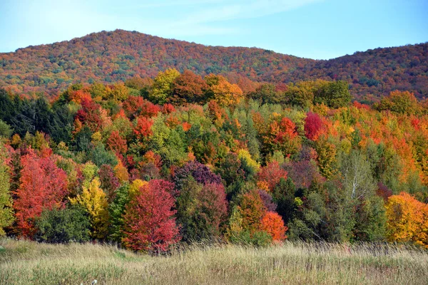 Hermoso Paisaje Montaña Otoño Con Árboles Coloridos — Foto de Stock