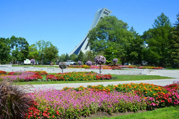 Hermoso Jardín Lujo Parque — Foto de Stock