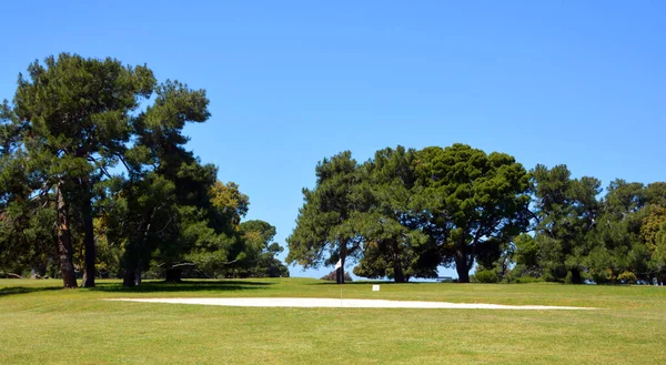 Campo Golf Parque —  Fotos de Stock