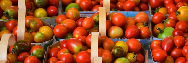 Färska Tomater Marknaden Närbild — Stockfoto