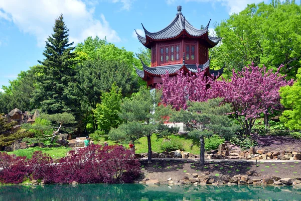 Tradycyjny Chiński Ogród Stawem Domem — Zdjęcie stockowe