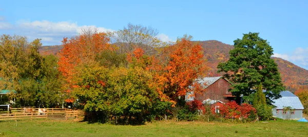Krajobraz Rolniczy Górski Jesienią — Zdjęcie stockowe
