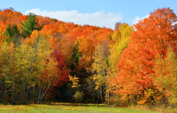 Hermoso Paisaje Montaña Otoño Con Árboles Coloridos —  Fotos de Stock