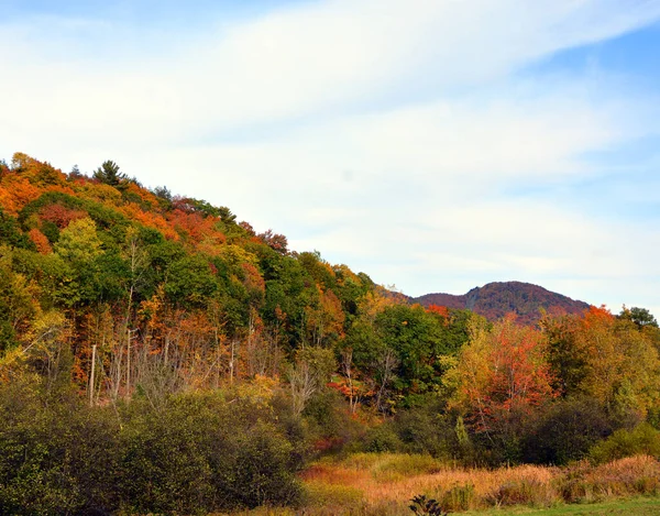 Prachtig Berglandschap Herfst Met Kleurrijke Bomen — Stockfoto