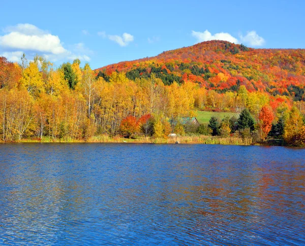 Lago Bosque Montaña Paisaje Otoño —  Fotos de Stock