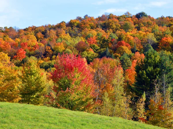 Sonbaharda Renkli Ağaçlarla Güzel Dağ Manzarası — Stok fotoğraf