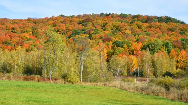 Vackert Bergslandskap Hösten Med Färgglada Träd — Stockfoto