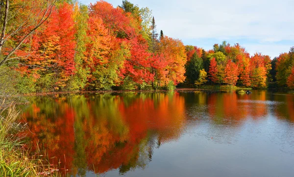 Красивый Осенний Пейзаж Озером Красочными Деревьями Стоковое Изображение