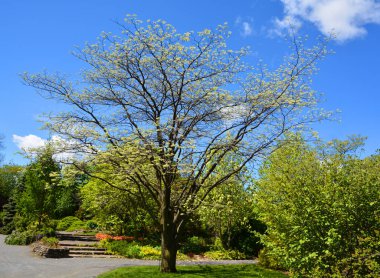 Sonbahar mevsiminde renkli bir kadın.