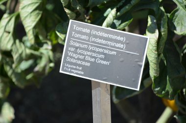 Tarım bahçesinde bilgi kartı 