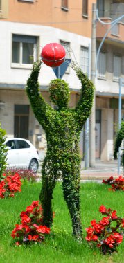 Bahçede kırmızı gül