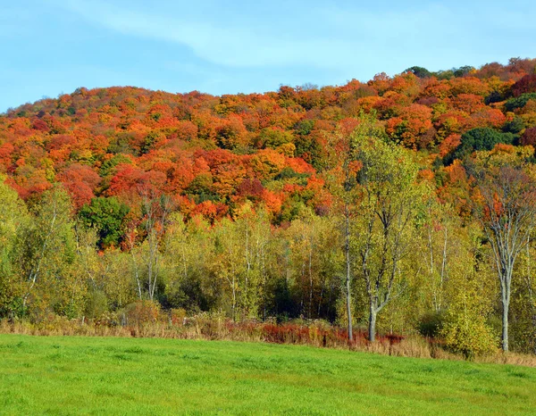 Prachtig Berglandschap Herfst Met Kleurrijke Bomen — Stockfoto