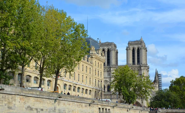 Notre Dame Paris Католицький Собор Острові Кіт Парижі Франція — стокове фото