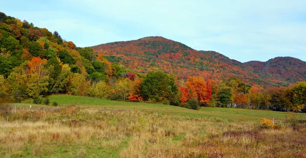 Красивый Горный Пейзаж Осенью Красочными Деревьями — стоковое фото