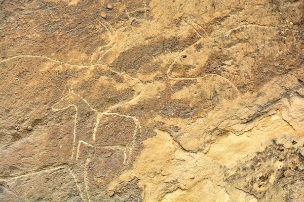 Veri Propri Petroglifi Nel Parco Nazionale Gobustan Azerbaigian — Foto Stock