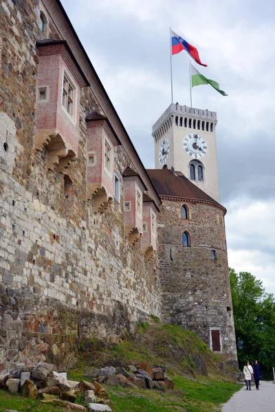 Castello Medievale Nel Centro Storico — Foto Stock
