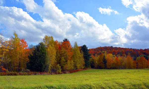 Beau Paysage Montagne Automne Avec Des Arbres Colorés — Photo