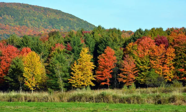 Prachtig Berglandschap Herfst Met Kleurrijke Bomen — Stockfoto