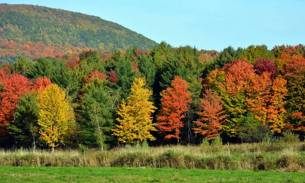 Hermoso Paisaje Montaña Otoño Con Árboles Coloridos —  Fotos de Stock