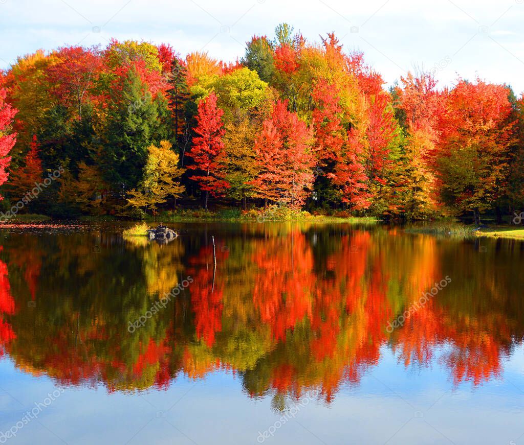 beautiful autumn landscape with lake and colorful trees 