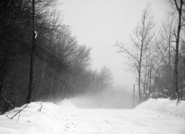 Siyah beyaz fotoğraflı kış manzarası