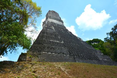 TIKAL, GUATEMALA MAYIS 03 2016: Guatemala Tikal Ulusal Parkı 'ndaki Kolomb öncesi Maya uygarlığının arkeolojik alanı 1979' dan beri UNESCO Dünya Mirası Alanı 'dır.