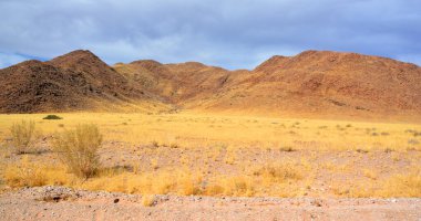 Namibya Çölü manzarası