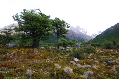 Ulusal Park Los Glaciares, Patagonya 'daki Monte Fitz Roy dağının manzarası Arjantin ve Şili sınırında. Güney Patagonya Buz Sahası 'nda, El Chalten Köyü yakınlarında yer almaktadır.
