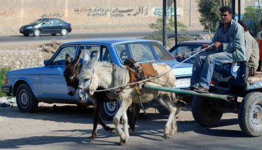 Kahire - Mısır 19 Kasım: 19 Kasım 2009 'da Mısır' da bir eşek tarafından çekilen at arabasındaki fakir adam malına değer veriyor. Mısır 'daki 85 milyon insanın neredeyse yüzde 25' i yoksulluk içinde yaşıyor.,